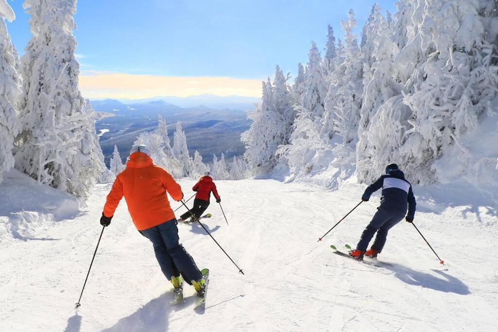 *Nouveaute* Foyer Au Bois, Plage, Montagne Et + Magog Екстериор снимка